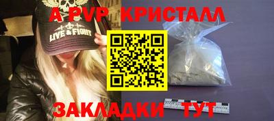 стаф Малгобек