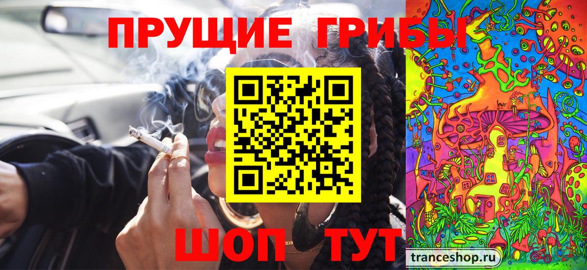 Псилоцибиновые грибы GOLDEN TEACHER Владикавказ