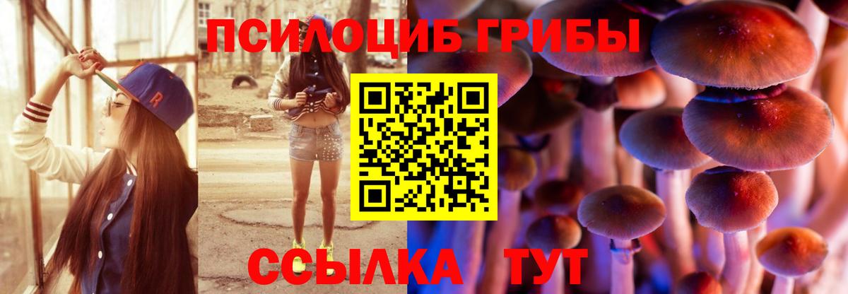 Галлюциногенные грибы мицелий  Вход с VPN  Владикавказ 